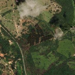 Florestal map(satellite map)