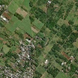 Roche Terre map(satellite map)