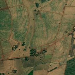 Paranapuã map(satellite map)