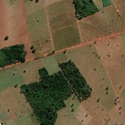 Guarani d'Oeste map(satellite map)