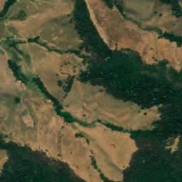 Dom Silvério map(satellite map)
