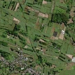 Sebastopol map(satellite map)