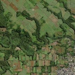 Dubreuil map(satellite map)
