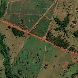 São Francisco map(satellite map)