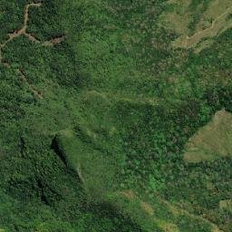 Bois des Amourettes map(satellite map)