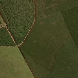 Campo Verde map(satellite map)