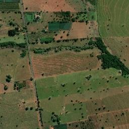 Palmeira d'Oeste map(satellite map)