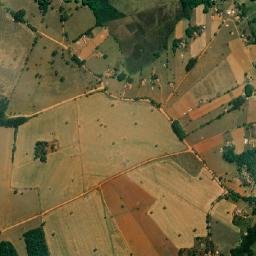 Pimenta map(satellite map)