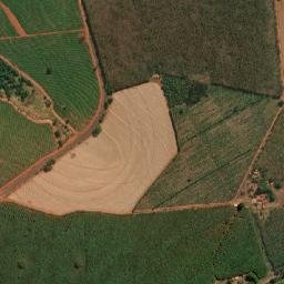 Tanabi map(satellite map)
