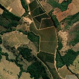 Camacho map(satellite map)