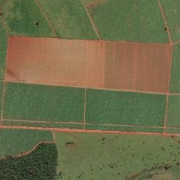 Jaborandi map(satellite map)