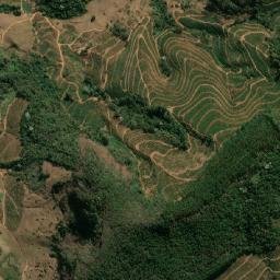 Araponga map(satellite map)