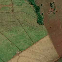 Restinga map(satellite map)