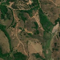 Oliveira map(satellite map)