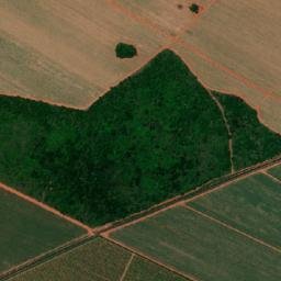 Colina map(satellite map)