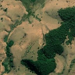 Faria Lemos map(satellite map)