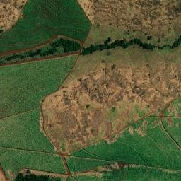Sales Oliveira map(satellite map)