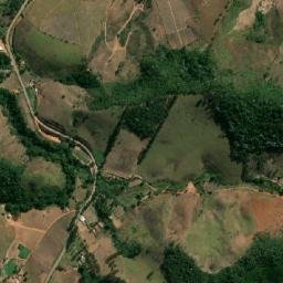 Cipotânea map(satellite map)