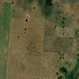 Murutinga do Sul map(satellite map)