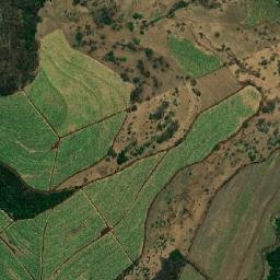 Brodowski map(satellite map)