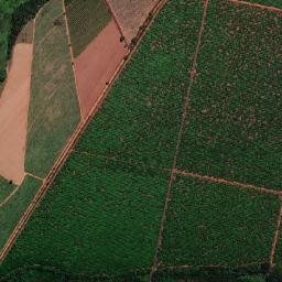 Taquaral map(satellite map)