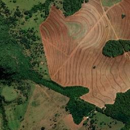 Santo Antônio da Alegria map(satellite map)