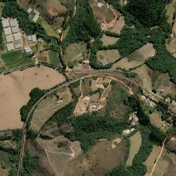 Alfredo Vasconcelos map(satellite map)