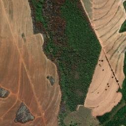 Santa Cruz da Esperança map(satellite map)
