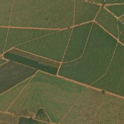 Sales map(satellite map)