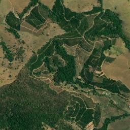 Areado map(satellite map)