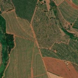 Cândido Rodrigues map(satellite map)