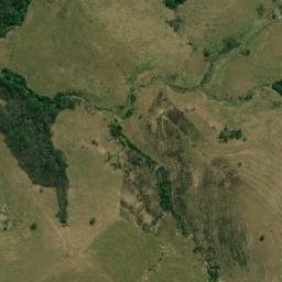 Rubiácea map(satellite map)