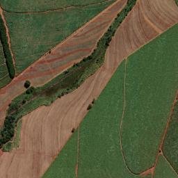 Guariba map(satellite map)
