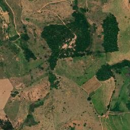 Palma map(satellite map)
