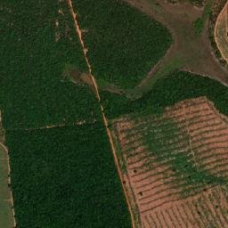 Nova Alvorada do Sul map(satellite map)