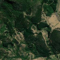 São João Nepomuceno map(satellite map)