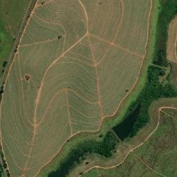 Flora Rica map(satellite map)