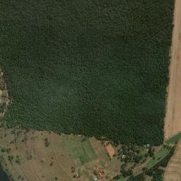 Américo Brasiliense map(satellite map)