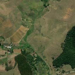 Bicas map(satellite map)