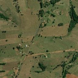 Alfredo Marcondes map(satellite map)
