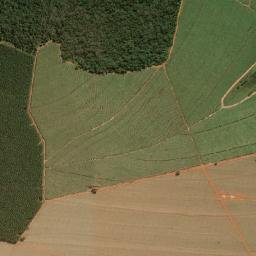 Arealva map(satellite map)
