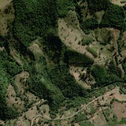 Alagoa map(satellite map)