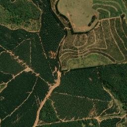 Gália map(satellite map)