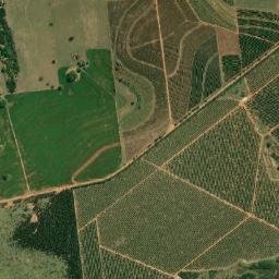 Fernão map(satellite map)