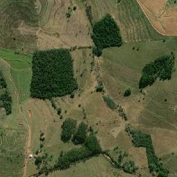 Ocauçu map(satellite map)