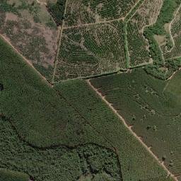 Agudos map(satellite map)