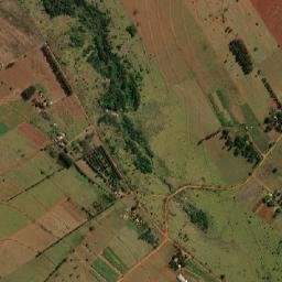 Itaguajé map(satellite map)