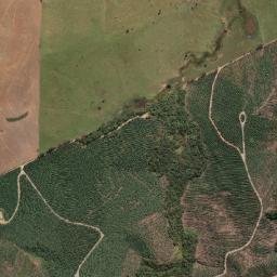 Canas map(satellite map)