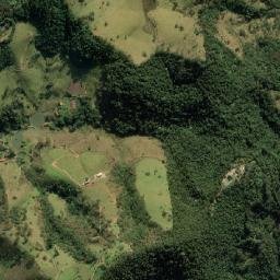 Santo Antônio do Pinhal map(satellite map)