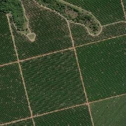Iaras map(satellite map)